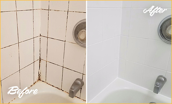 Before and After Picture of a Grosse Pointe Shores Shower Tile and Grout Cleaned to Eliminate Mold