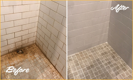 Before and After Picture of a Grosse Pointe Shores Shower Tile and Grout Cleaned to Eliminate Mold and Stains