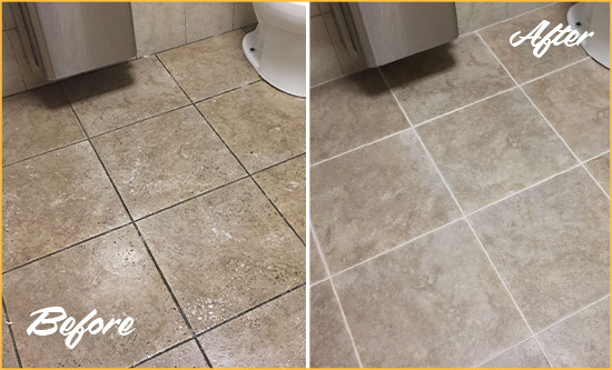 Before and After Picture of a Grosse Pointe Shores Restroom Tile and Grout Cleaned to Remove Soil