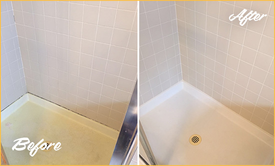 Before and After Picture of a Grosse Pointe Shores Shower Sealed to Remove and Protect Against Mold