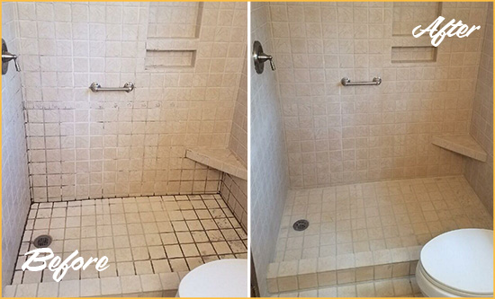 Before and After Picture of a Grosse Pointe Shores Shower Grout Cleaned to Remove Mold