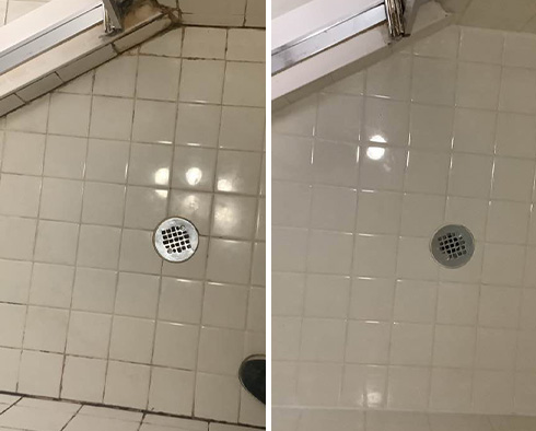 Tile Shower Before and After a Grout Cleaning in Detroit