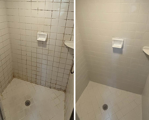 Tile Shower Before and After a Grout Cleaning in Royal Oak