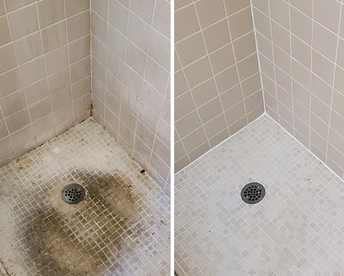 Shower Restored by Our Tile and Grout Cleaners in Birmingham, MI