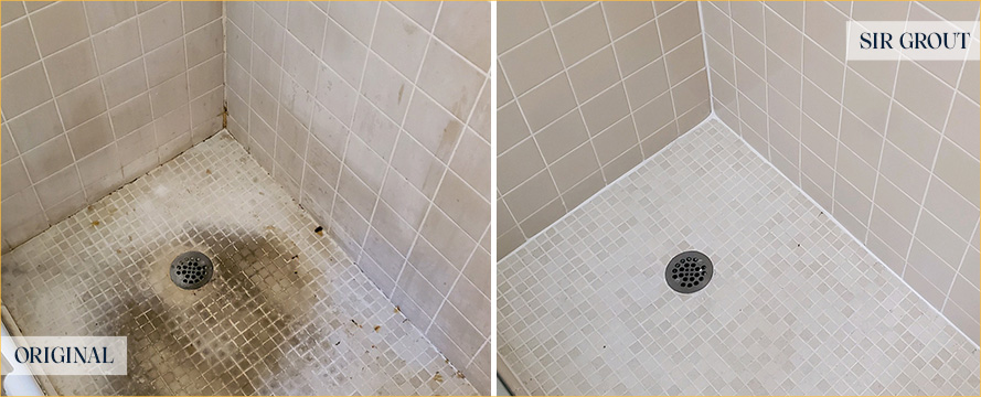 Shower Restored by Our Expert Tile and Grout Cleaners in Birmingham, MI